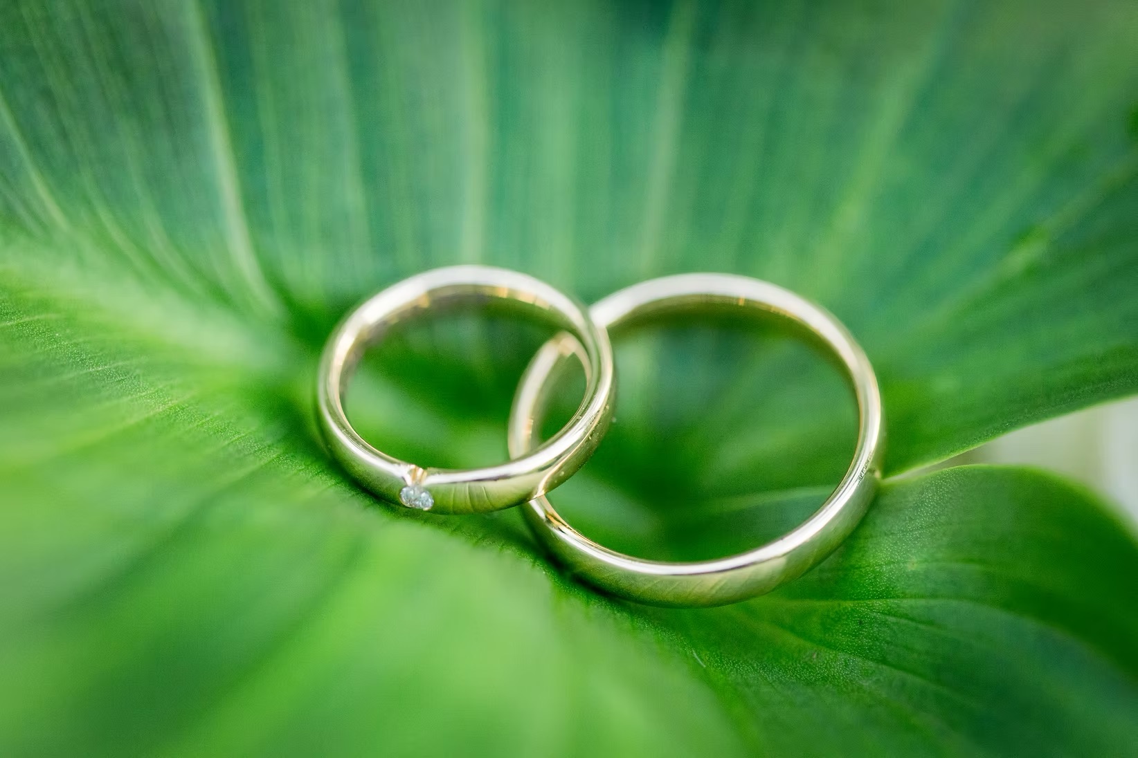 Hochzeit am Gardasee - Emotionen 2